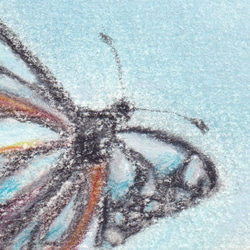 旅する蝶（パステル画　原画）額装込み 3枚目の画像