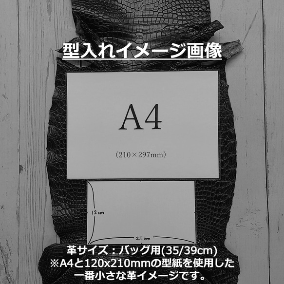 ワニ革 クロコ 半艶マット  ブライトブルー「バッグ製作向け・幅35/39cm」 No.CM0184(6699) 8枚目の画像