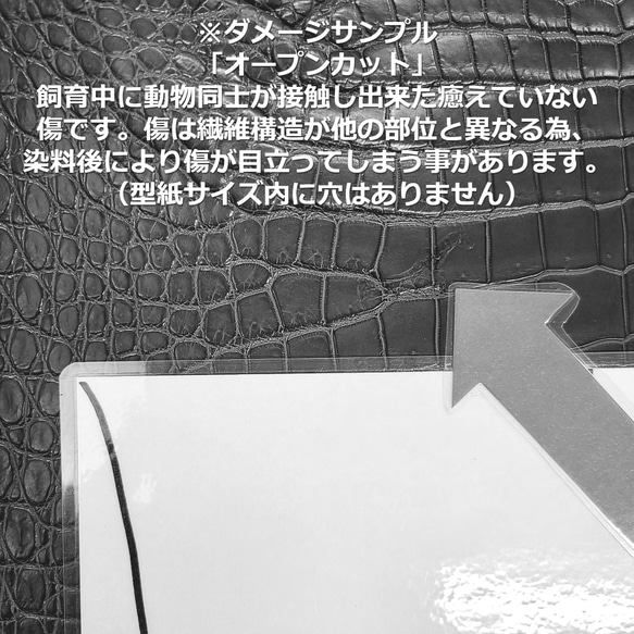 ワニ革 クロコ 半艶マット  ブライトブルー「バッグ製作向け・幅35/39cm」 No.CM0184(6699) 12枚目の画像