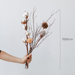 3c953d620423795fb1f7354e0a7b92