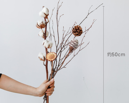 3c953d620423795fb1f7354e0a7b92