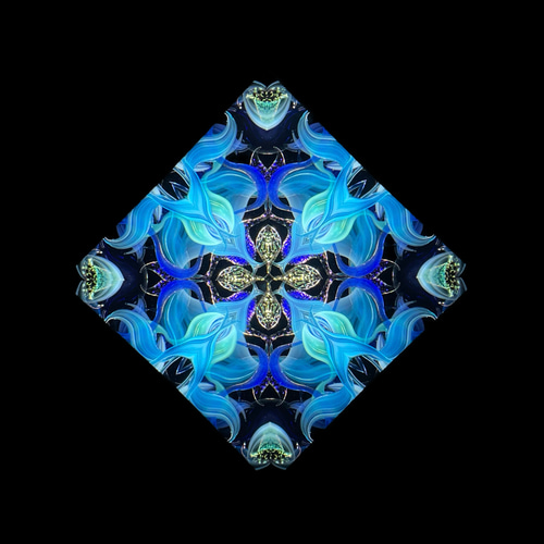 手作り額付き作品　title「蒼天のニャンコ」 フェニックス 〜蒼い炎〜【万華鏡・受注制作】 その他インテリア