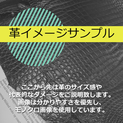 ワニ革 クロコ 半艶マット  グレージュ「バッグ製作向け・幅35/39cm」 No.CM0186(6671,72,79) 6枚目の画像