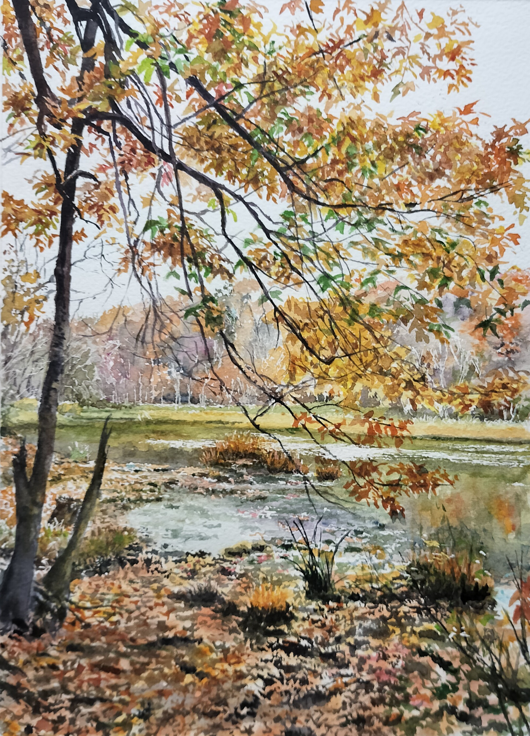 絵画 水彩画 風景画 画題「晩秋の沼を眺めて」 絵画 yamakasumi56 通販