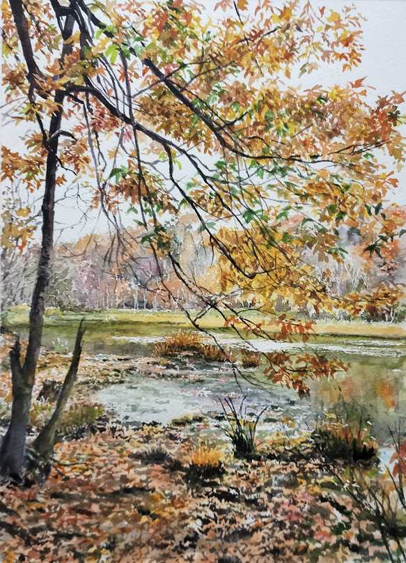 絵画 水彩画 風景画 画題「晩秋の沼を眺めて」 絵画 yamakasumi56 通販
