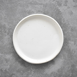 丸い大皿 (白/マット/点模様/白御影土) 1枚目の画像