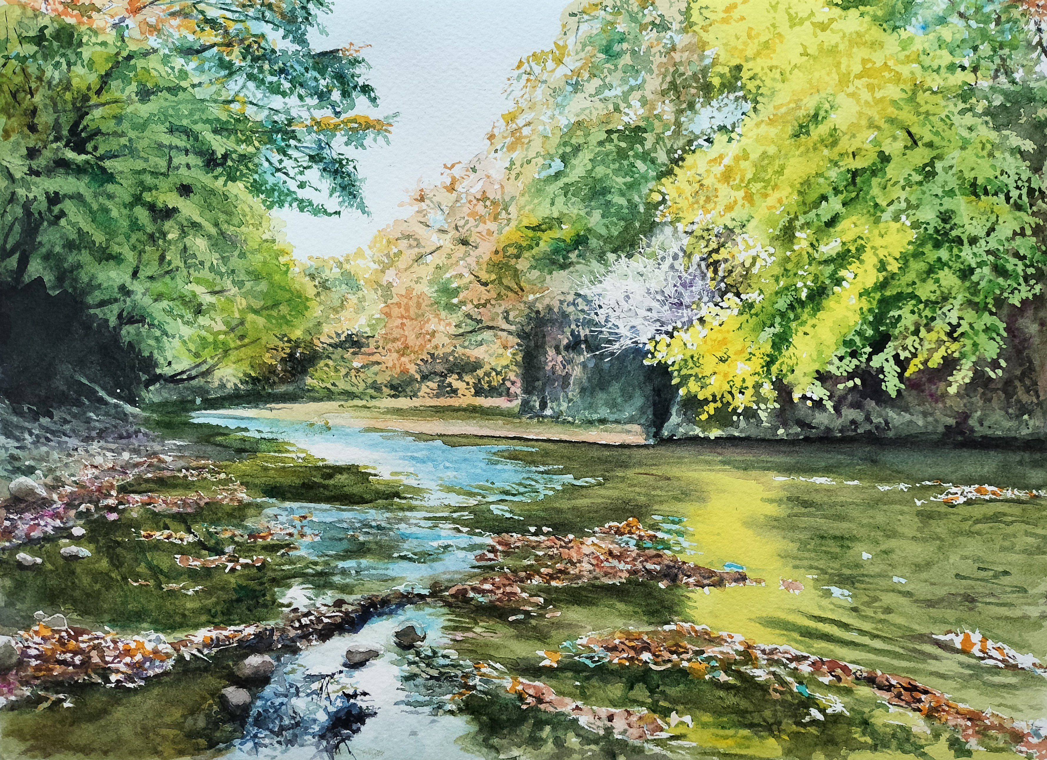 絵画「霧晴れて大山千枚田」　水彩画
