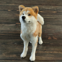 プリマロ　羊毛フェルト犬　全身タイツ犬　プリ　マロ　ジノ baa8a14cbb4488c326ee0382996f83