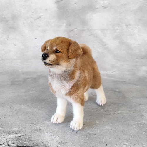 秋田犬さん（赤子犬）〈24044〉 羊毛フェルト 羊毛わんこ 福や工房