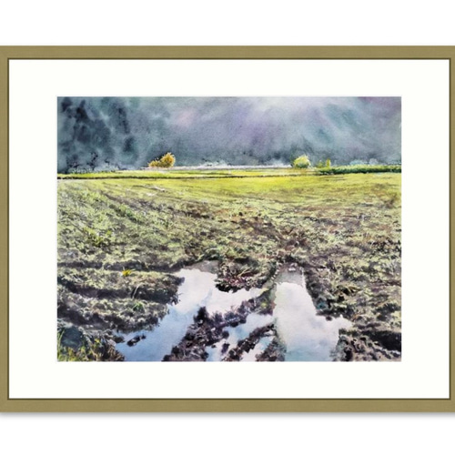 絵画 水彩画 風景画 画題「田に注ぐ午後の光」 絵画 yamakasumi56 通販