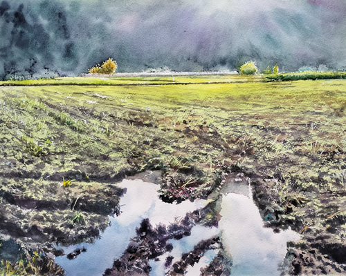 955e4f46c9e05f67fba4179e1361ce