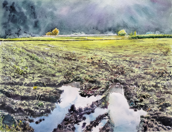 絵画 水彩画 風景画 画題「田に注ぐ午後の光」 絵画 yamakasumi56 通販