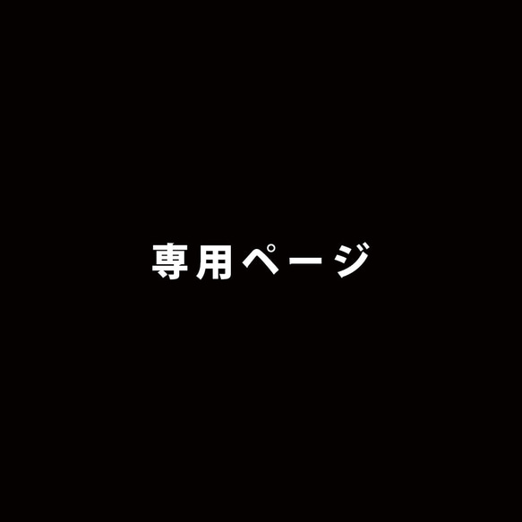 専用ページ 1枚目の画像