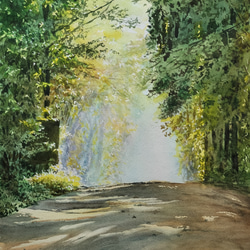 絵画　水彩画　風景画　画題「林道を走る」 1枚目の画像