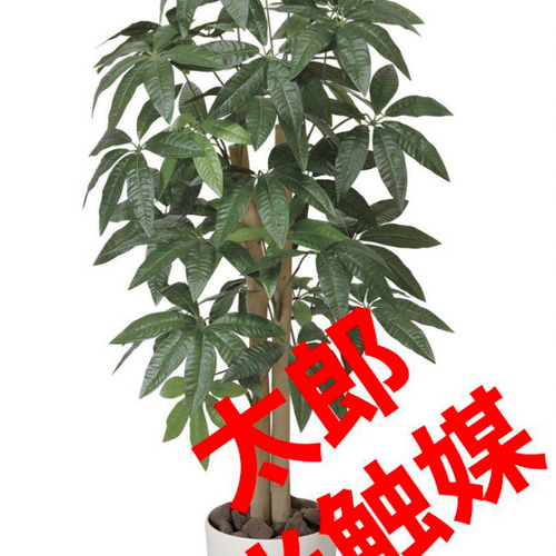光触媒　人工観葉植物　ウォールグリーン　フェイクグリーン　パキラ1.0 光触媒 人工観葉植物 ウォールグリーン フェイクグリーン パキラ1.0gsj