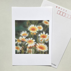 ２２１　選べるポストカード　やさいの花 春菊　5枚セット 1枚目の画像