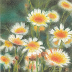 ２２１　選べるポストカード　やさいの花 春菊　5枚セット 2枚目の画像