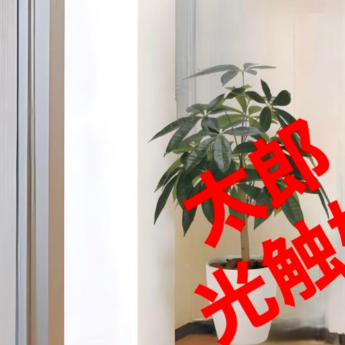 【★大感謝セール】 光触媒 人工観葉植物 フェイクグリーン パキラリーフツリー72 フラワー・ガーデニング