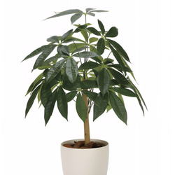 光触媒　人工観葉植物　フェイクグリーン　パキラリーフツリー1.0M 3枚目の画像