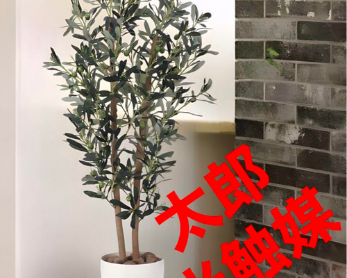 光触媒　人工観葉植物　ウォールグリーン　フェイクグリーン　コンシンネ150a ドラセナ コンシンネ 150cm (ユッカ フェイクグリーン 樹木 人工