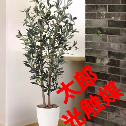 光触媒　人工観葉植物　ウォールグリーン　フェイクグリーン　オリーブ290センチ 光触媒 人工観葉植物 ウォールグリーン フェイクグリーン