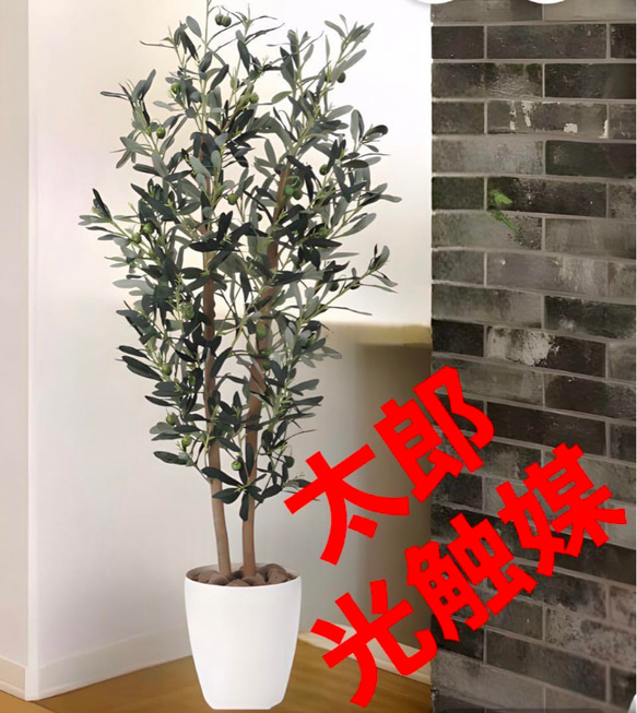 光触媒 人工観葉植物 ウォールグリーン フェイクグリーン オリーブ1.2m