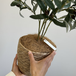【室内用オリーブの木】光触媒  フェイクグリーン 無料ラッピング 観葉植物 造花 5枚目の画像