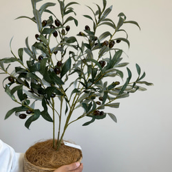 【室内用オリーブの木】光触媒  フェイクグリーン 無料ラッピング 観葉植物 造花 4枚目の画像