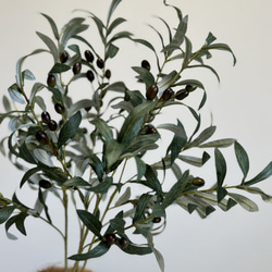 【室内用オリーブの木】光触媒  フェイクグリーン 無料ラッピング 観葉植物 造花 2枚目の画像