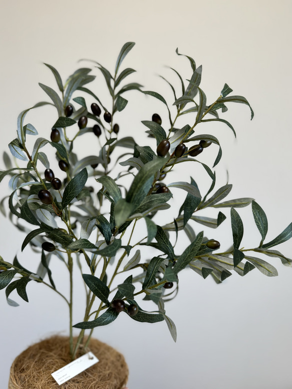 【室内用オリーブの木】光触媒  フェイクグリーン 無料ラッピング 観葉植物 造花 2枚目の画像