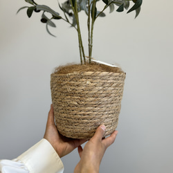 【室内用オリーブの木】光触媒  フェイクグリーン 無料ラッピング 観葉植物 造花 6枚目の画像