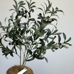 【室内用オリーブの木】光触媒  フェイクグリーン 無料ラッピング 観葉植物 造花 3枚目の画像