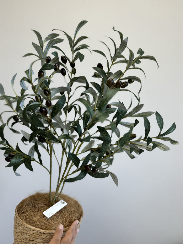 【室内用オリーブの木】光触媒  フェイクグリーン 無料ラッピング 観葉植物 造花 3枚目の画像