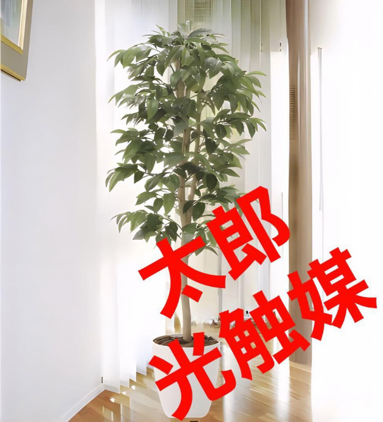 光触媒　人工観葉植物　ウォールグリーン　フェイクグリーン  アルデシア130
