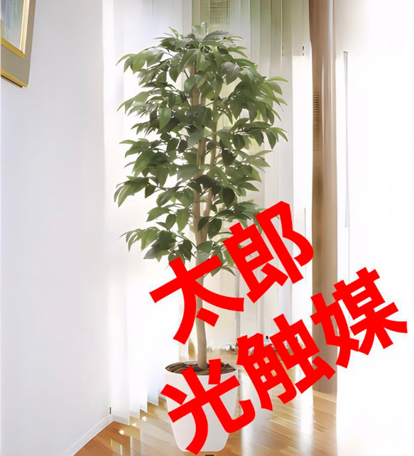 光触媒　人工観葉植物　ウォールグリーン　フェイクグリーン  アルデシア130 1枚目の画像