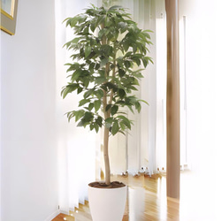 光触媒　人工観葉植物　ウォールグリーン　フェイクグリーン  アルデシア130 2枚目の画像
