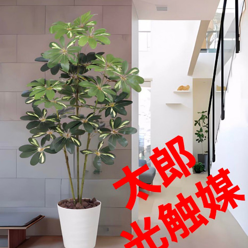 光触媒　人工観葉植物　ウォールグリーン　フェイクグリーン　カポック150 光触媒 人工観葉植物 ウォールグリーン フェイクグリーン