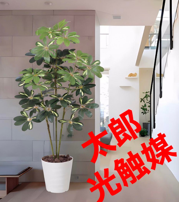 光触媒　人工観葉植物　ウォールグリーン　フェイクグリーン　カポック斑入リ1.2m 1枚目の画像