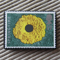 イギリス　化石切手ブローチ 9616 1枚目の画像