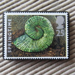 イギリス　化石切手ブローチ 9617 1枚目の画像