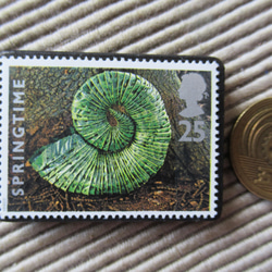 イギリス　化石切手ブローチ 9617 3枚目の画像