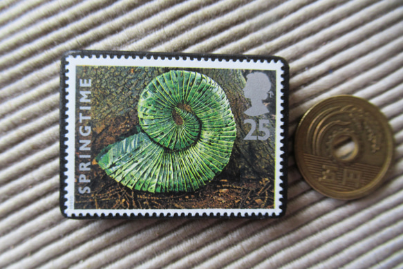 イギリス　化石切手ブローチ 9617 3枚目の画像