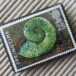イギリス　化石切手ブローチ 9617 2枚目の画像