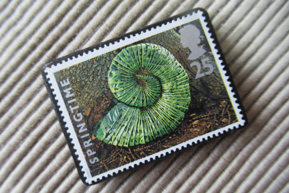 イギリス　化石切手ブローチ 9617 2枚目の画像