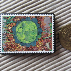 イギリス　化石切手ブローチ 9619 3枚目の画像