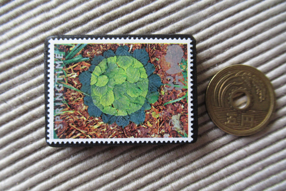 イギリス　化石切手ブローチ 9619 3枚目の画像
