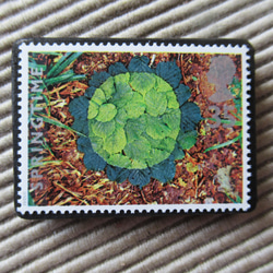 イギリス　化石切手ブローチ 9619 1枚目の画像