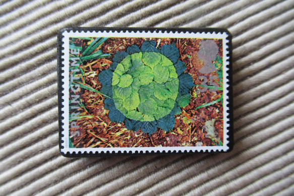 イギリス　化石切手ブローチ 9619 1枚目の画像