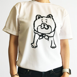 【黒】柴犬のリラックスドライTシャツ 4枚目の画像