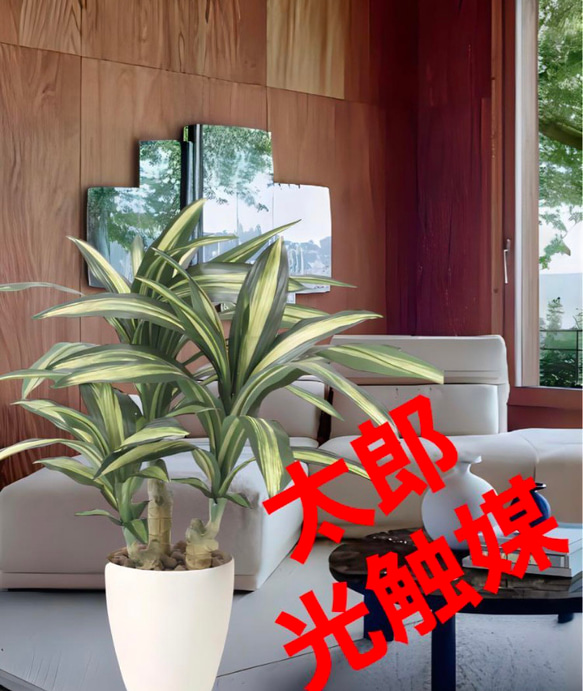 光触媒　人工観葉植物　ウォールグリーン　フェイクグリーン　マッサン　幸福の木s 1枚目の画像